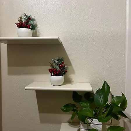 Maison Del Ducato Cavour 37 Lejlighed Parma